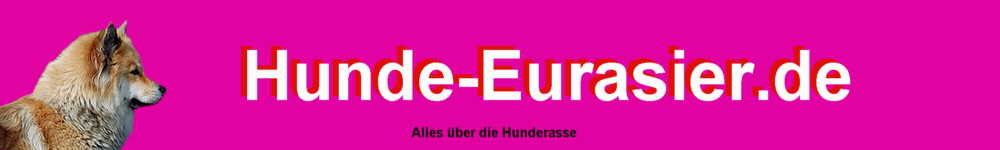Eurasier Hunde Informationen Rassebeschreibung Aussehen Charakter